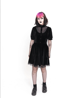 Modern Victorian Style Goth Velvet Dress