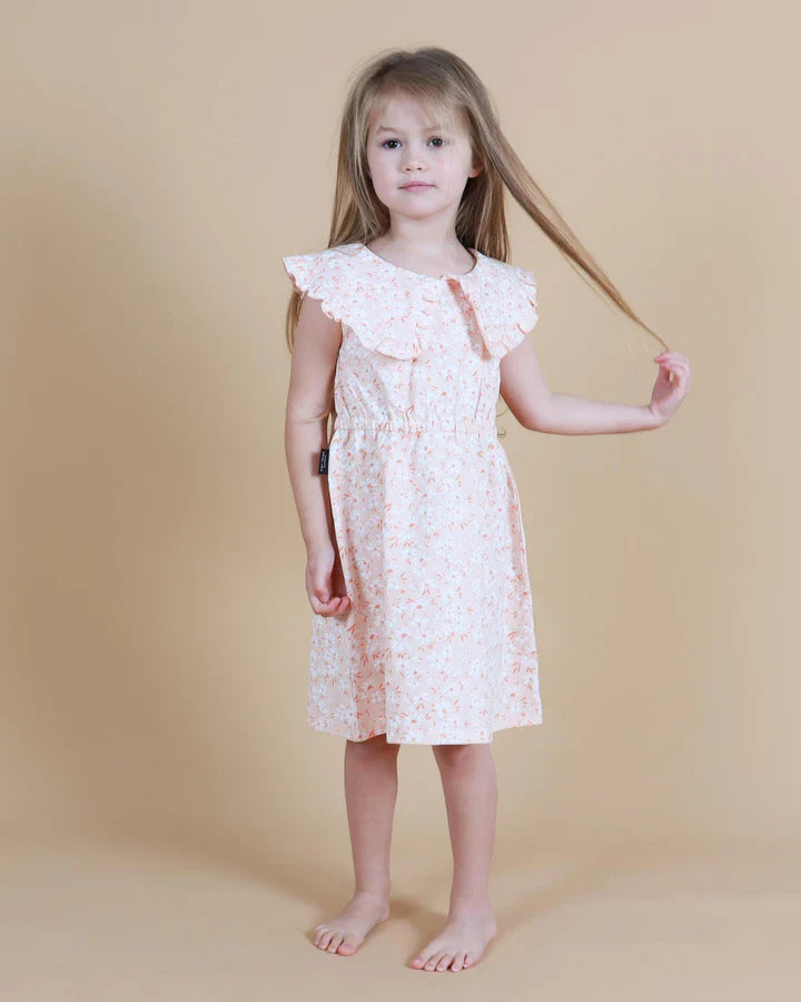 Tiny Tribe Petite Floral Collared Dress